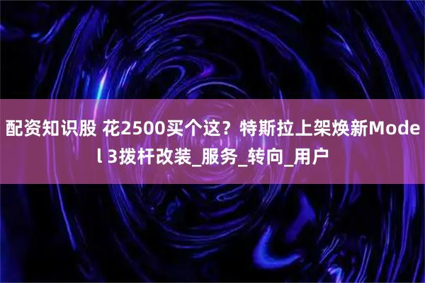 配资知识股 花2500买个这？特斯拉上架焕新Model 3拨杆改装_服务_转向_用户